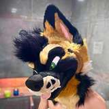 palacewolf