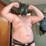 dumbfatdog
