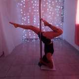 lovesviquica