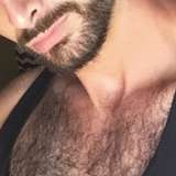 vinsrips